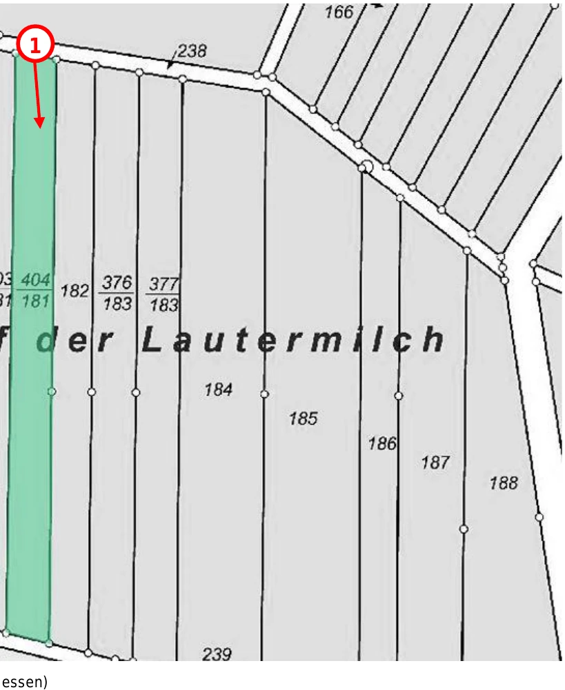 land- und forstwirtschaftlich genutztes Grundstück in Steffenberg — Bild 3