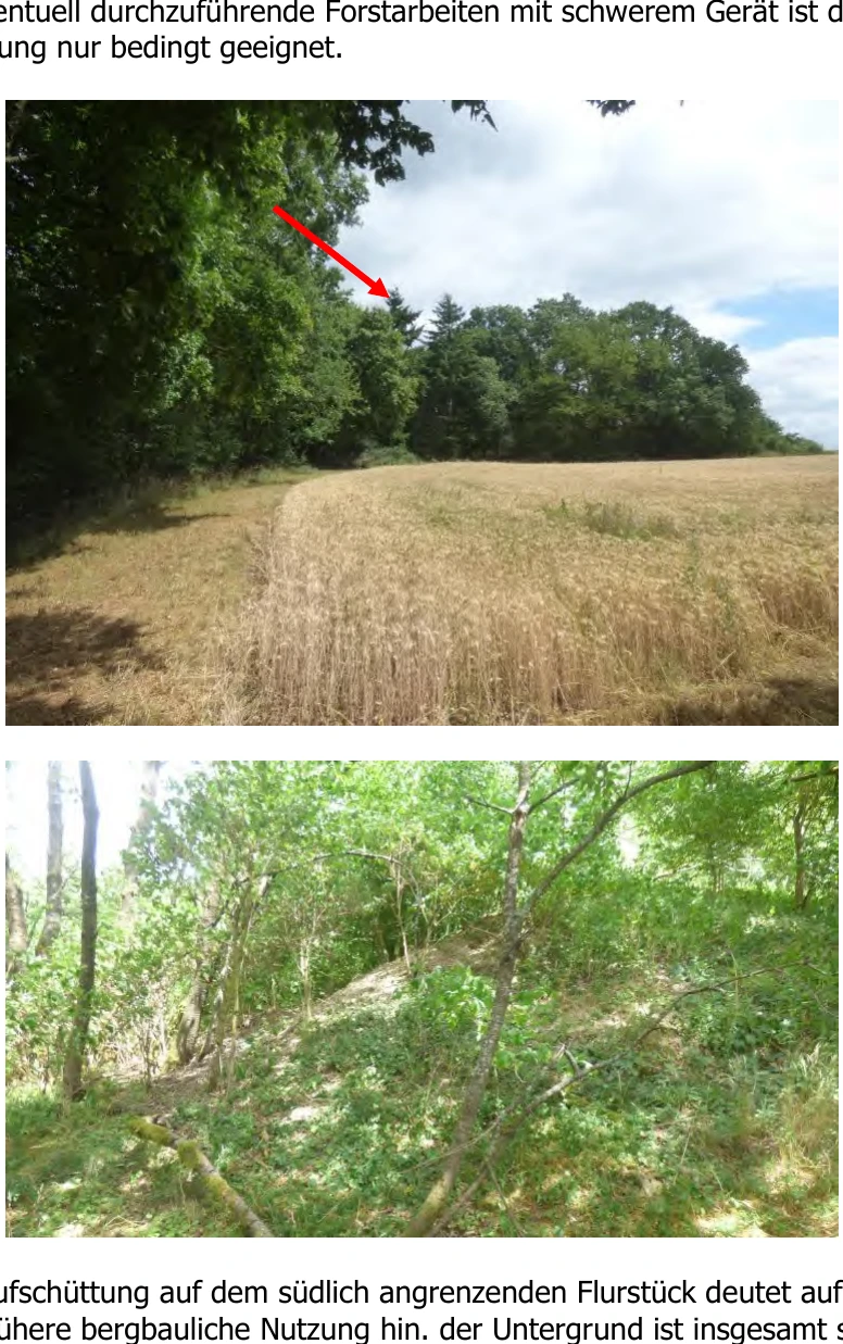 land- und forstwirtschaftlich genutztes Grundstück in Gladenbach — Bild 2