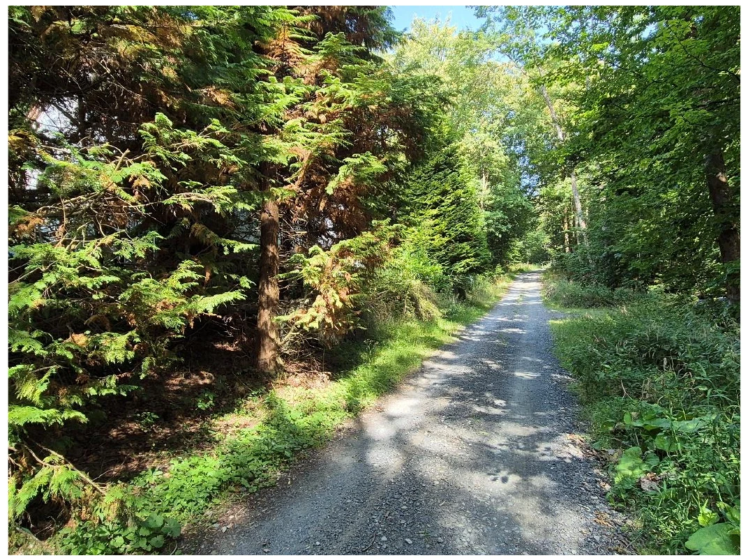 Einfamilienhaus in Dautphetal — Bild 2