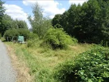 land- und forstwirtschaftlich genutztes Grundstück in Diedenshausen — Bild 2