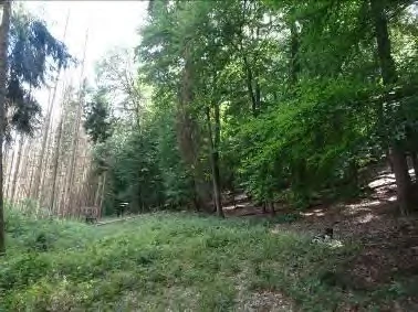 land- und forstwirtschaftlich genutztes Grundstück in Diedenshausen — Bild 3