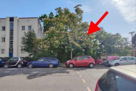 unbebautes Grundstück in Berlin — Bild 3