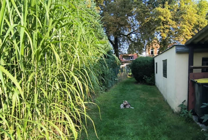 Einfamilienhaus, Sonstiges in Berlin
