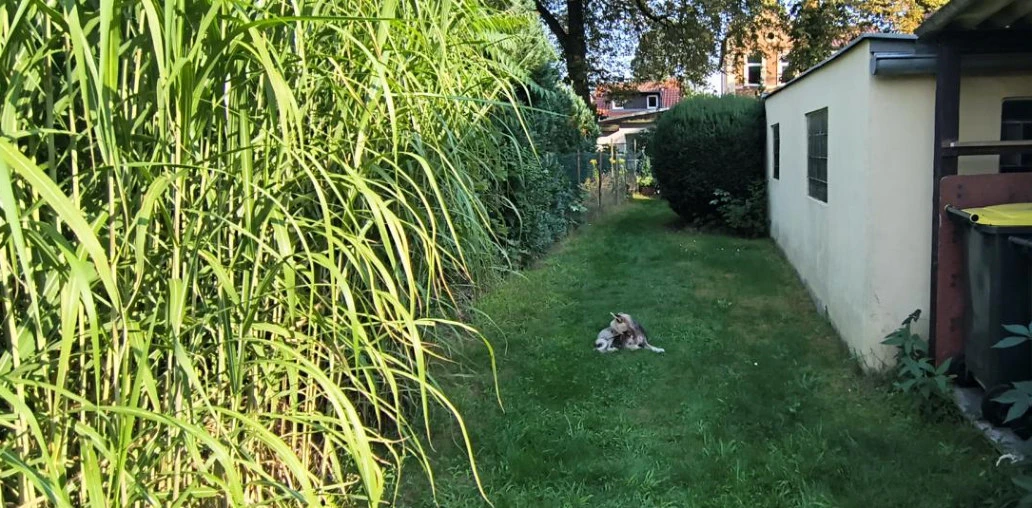 Einfamilienhaus, Sonstiges in Berlin — Bild 3