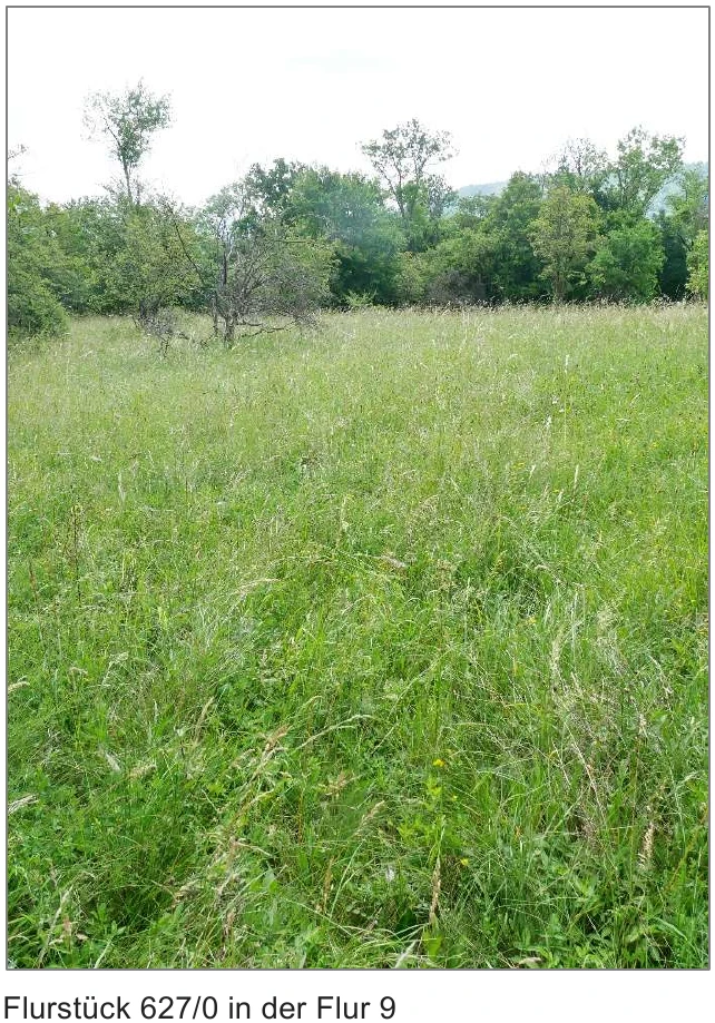 landwirtschaftliche Grundstücke in Sondershausen/Stockhausen — Bild 2