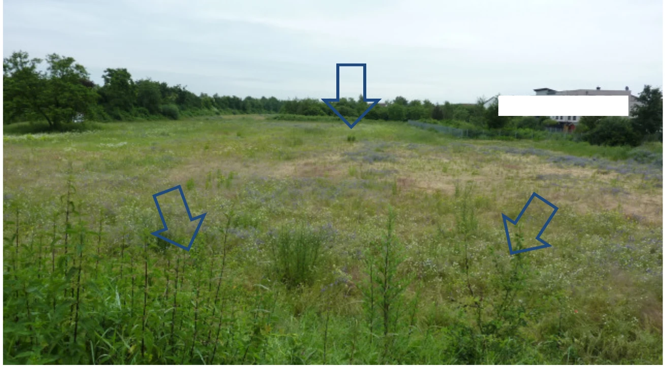 land- und forstwirtschaftlich genutztes Grundstück in Viernheim — Bild 2