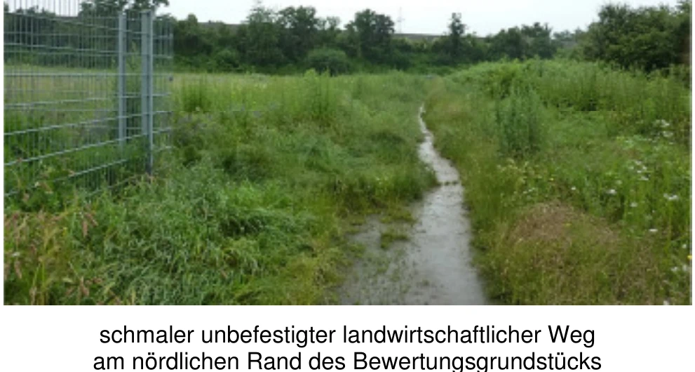 land- und forstwirtschaftlich genutztes Grundstück in Viernheim — Bild 3