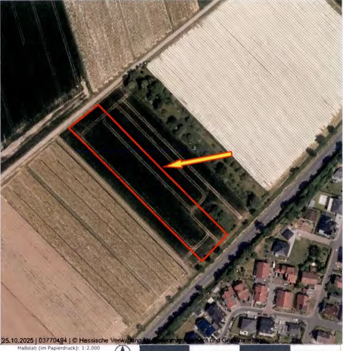 land- und forstwirtschaftlich genutztes Grundstück in Gründau — Bild 2
