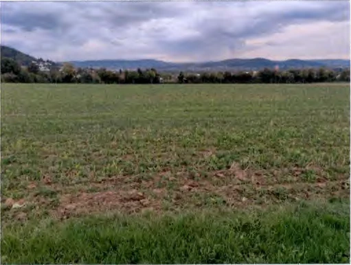 land- und forstwirtschaftlich genutztes Grundstück in Gründau — Bild 3