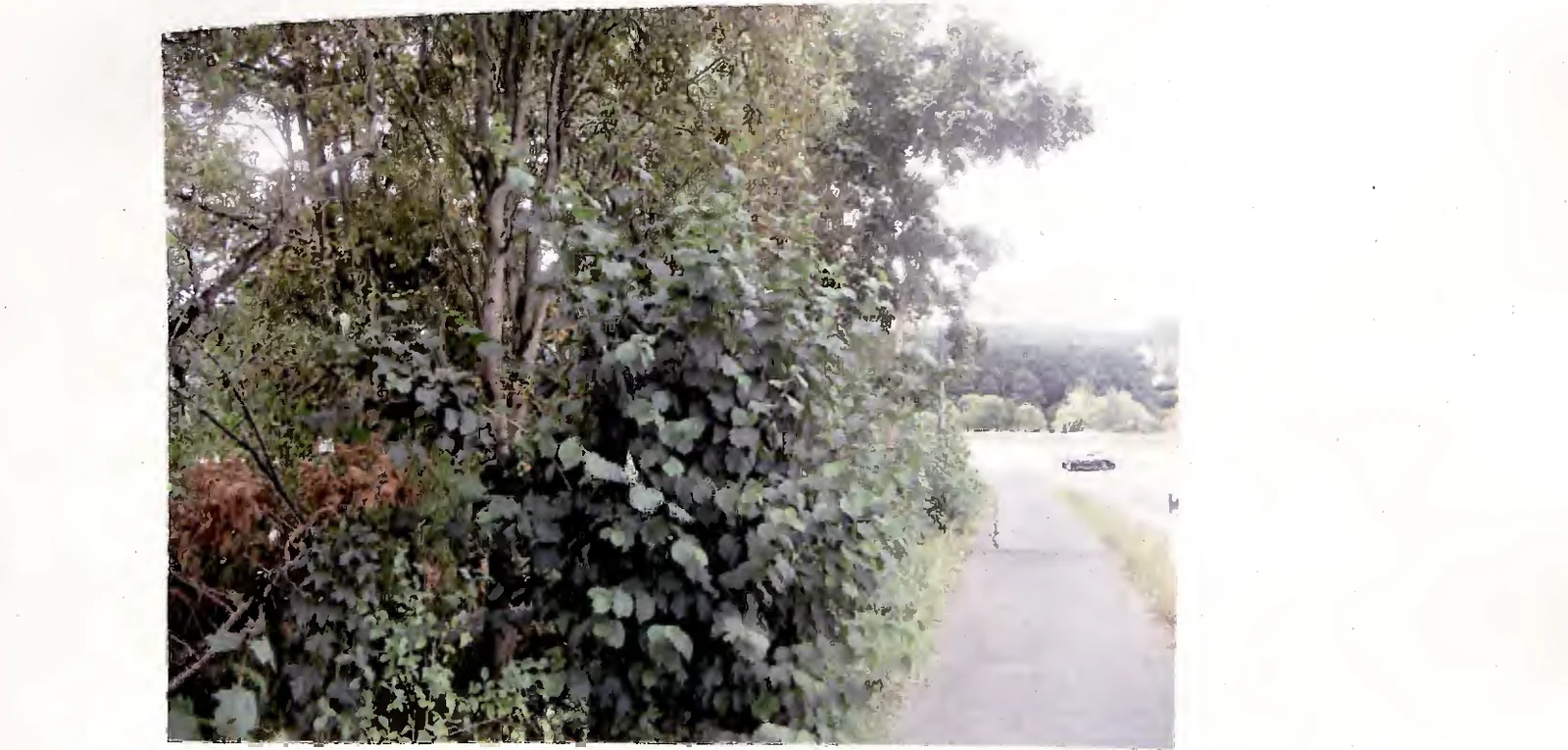 unbebautes Grundstück in Marburg — Bild 2