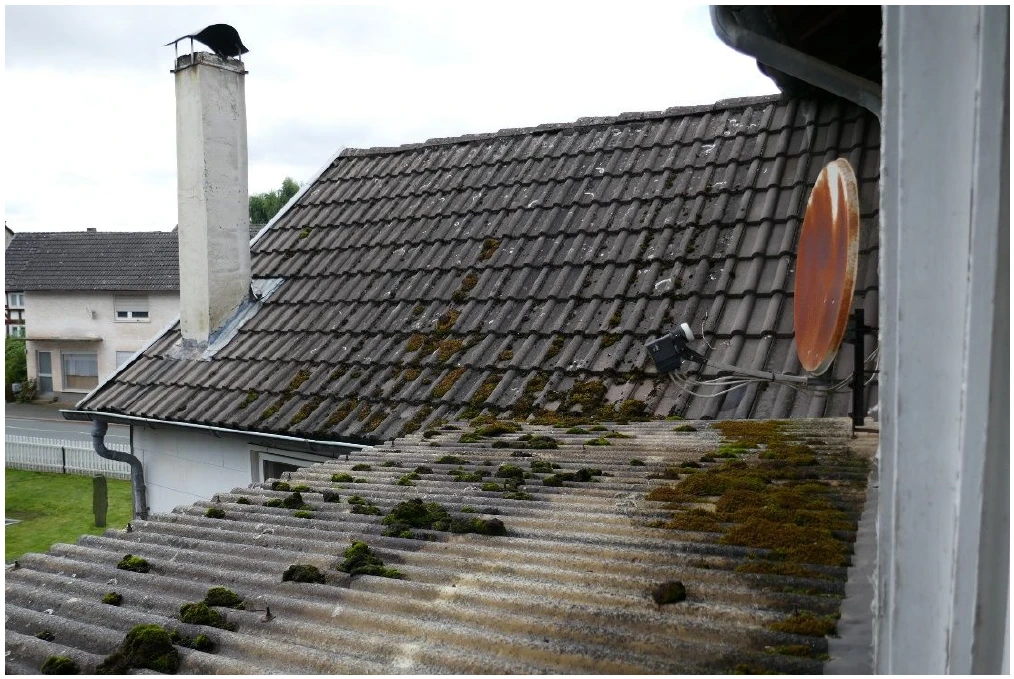 Einfamilienhaus in Münchhausen — Bild 2