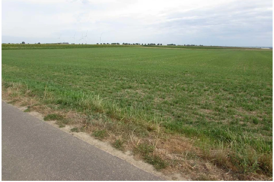 land- und forstwirtschaftlich genutztes Grundstück in Heinsberg — Bild 2