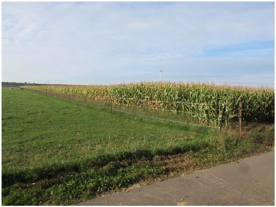 land- und forstwirtschaftlich genutztes Grundstück, ein unbebautes landwirtschaftliches Ackergrundstück in Heinsberg — Bild 2
