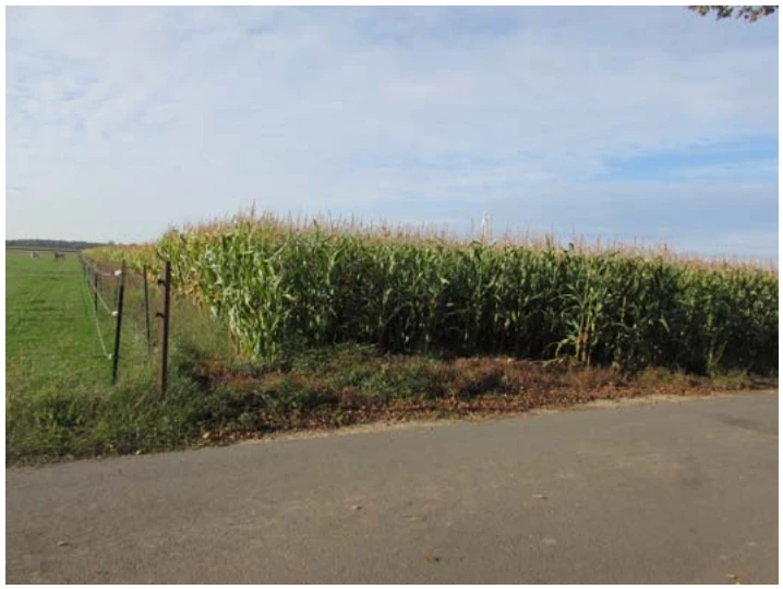 land- und forstwirtschaftlich genutztes Grundstück, ein unbebautes landwirtschaftliches Ackergrundstück in Heinsberg — Bild 3