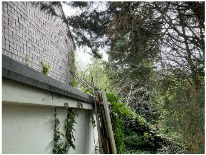 Einfamilienhaus in Köln — Bild 2