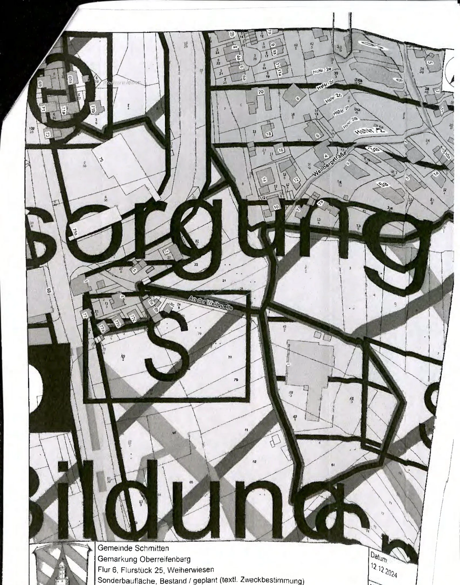 Grünland in Schmitten — Bild 2