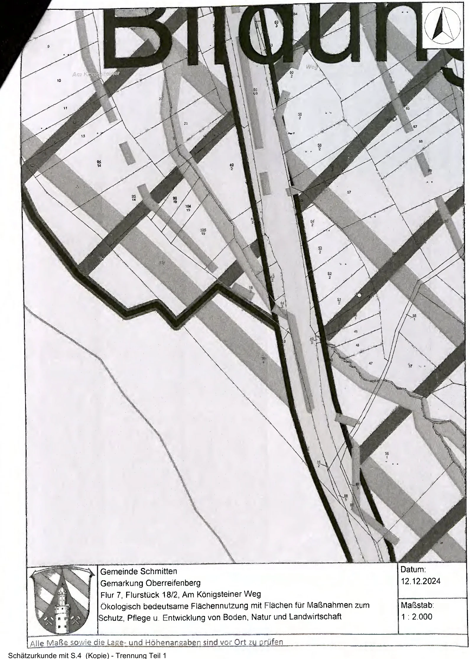 Grünland in Schmitten — Bild 3