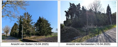 Sonstiges, Landwirtschaftsfläche und Waldfläche in Bunde