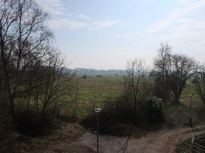 land- und forstwirtschaftlich genutztes Grundstück, überwiegend landwirtschaftliche Nutzflächen, welche als Grünland genutzt werden: in Leer