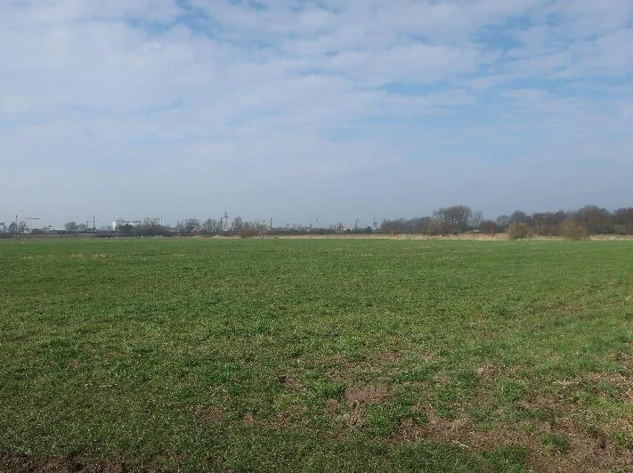 land- und forstwirtschaftlich genutztes Grundstück, überwiegend landwirtschaftliche Nutzflächen, welche als Grünland genutzt werden: in Leer — Bild 2