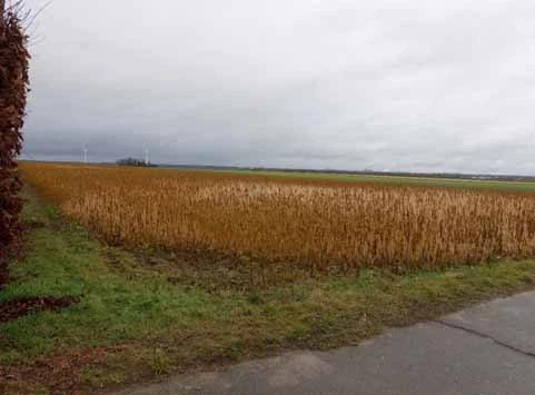 Ackerland in Erftstadt — Bild 2