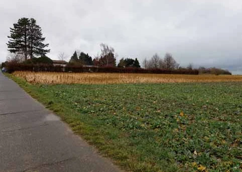 Ackerland in Erftstadt — Bild 3