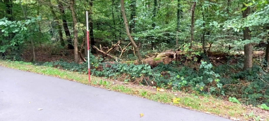 land- und forstwirtschaftlich genutztes Grundstück in Bonn — Bild 3