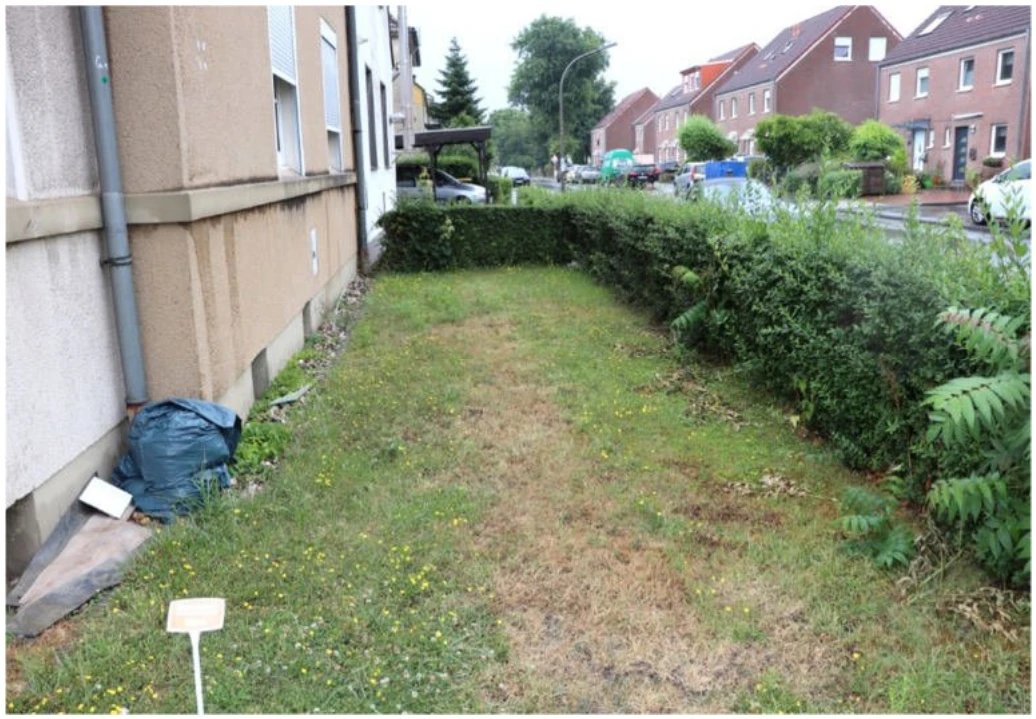 Zweifamilienhaus, Doppelhaushälfte in Dortmund — Bild 3