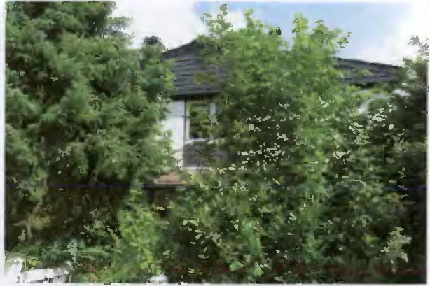 Einfamilienhaus, Garage in Laubach — Bild 3