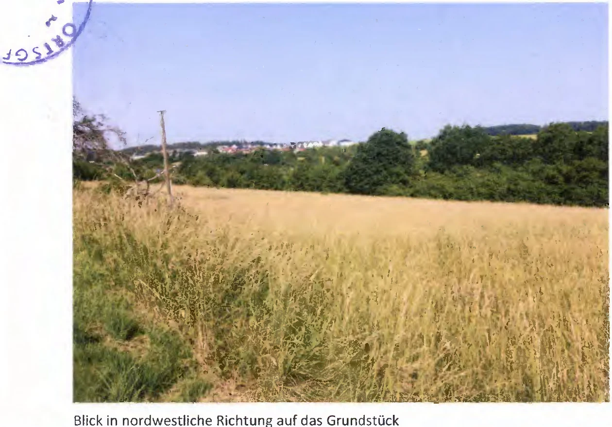 land- und forstwirtschaftlich genutztes Grundstück in Reiskirchen — Bild 2
