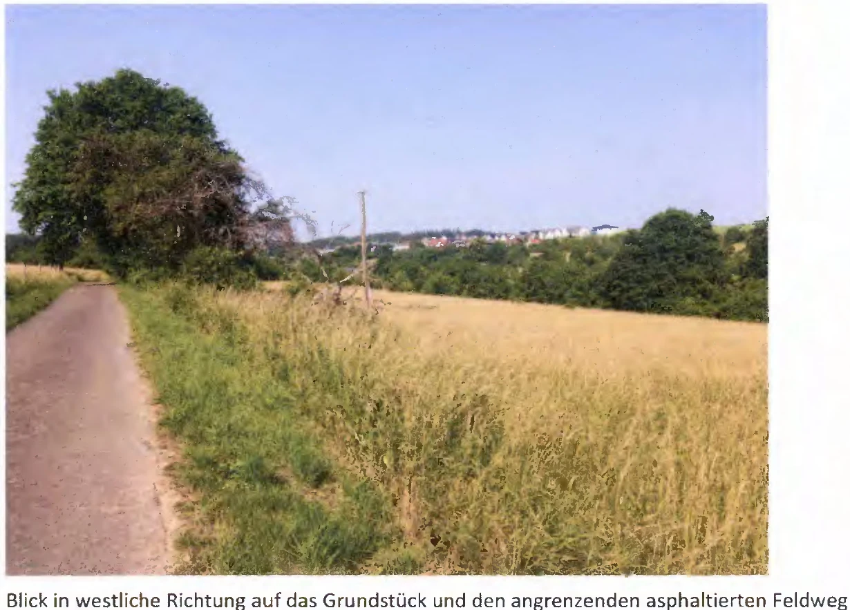 land- und forstwirtschaftlich genutztes Grundstück in Reiskirchen — Bild 3