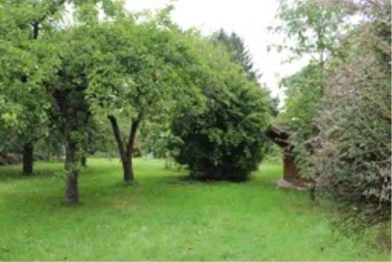 Freizeitgarten in Gießen — Bild 2