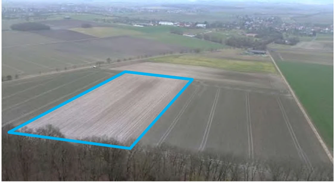 land- und forstwirtschaftlich genutztes Grundstück in Hungen — Bild 3