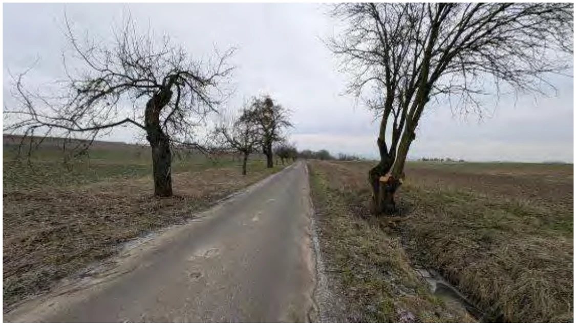 land- und forstwirtschaftlich genutztes Grundstück in Hungen — Bild 2