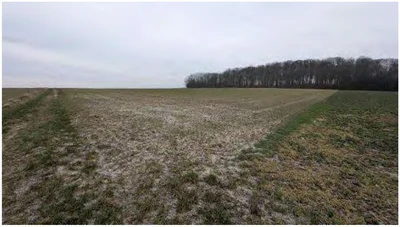 land- und forstwirtschaftlich genutztes Grundstück in Hungen
