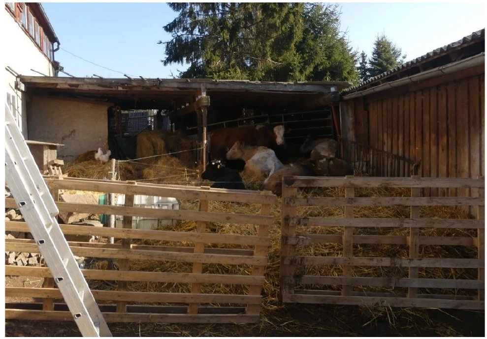 Bauernhaus in Dorfhain — Bild 3