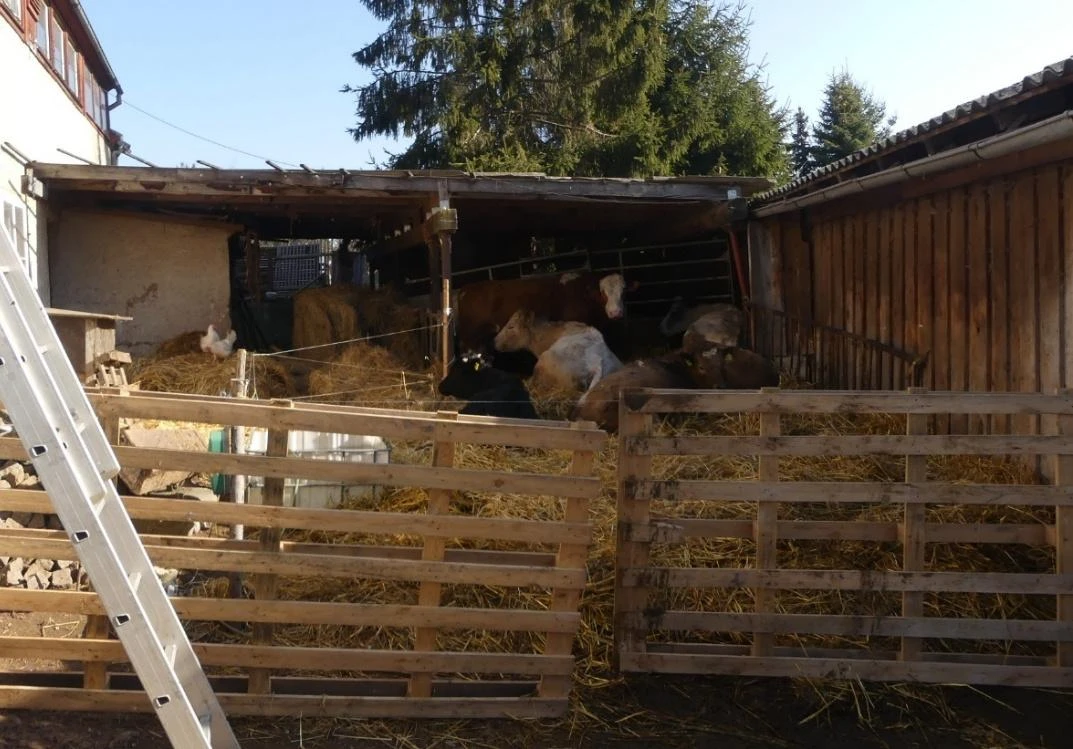 Bauernhaus in Dorfhain — Bild 2