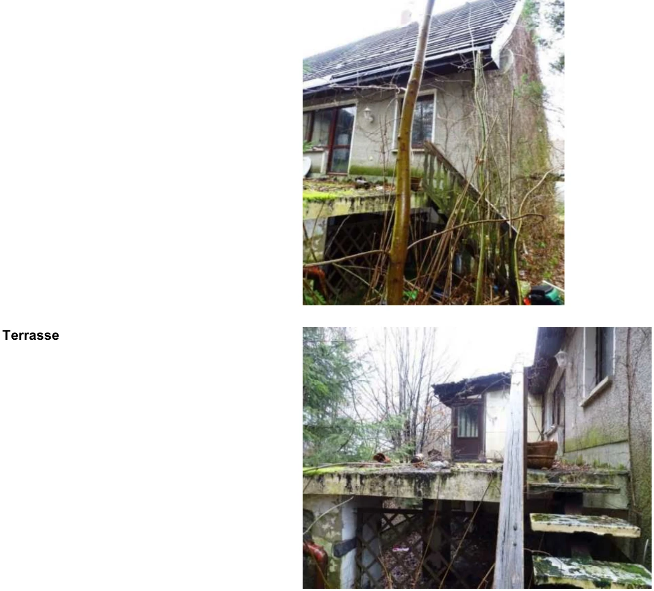 Doppelhaushälfte in Bad Schandau — Bild 3