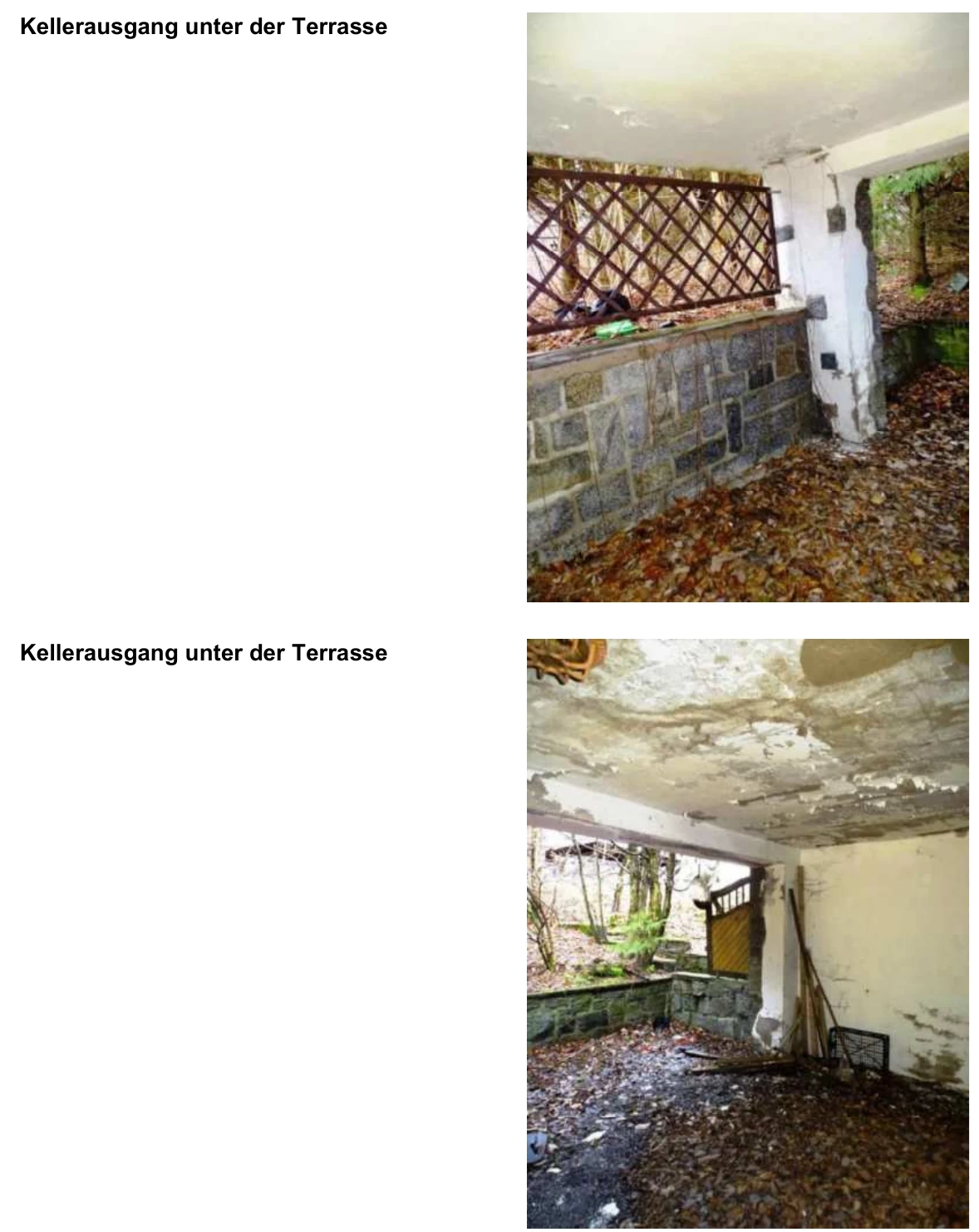 Doppelhaushälfte in Bad Schandau — Bild 2