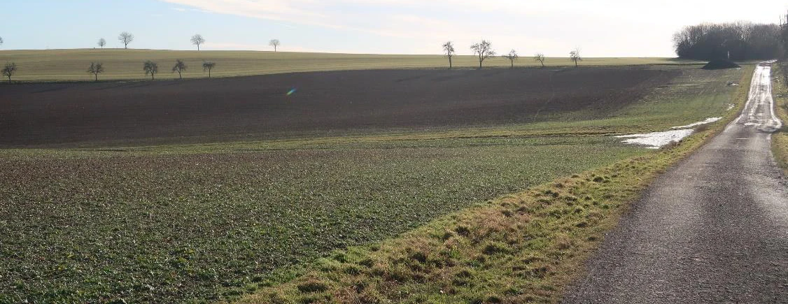 Landwirtschaftsfläche/Sondergebiet für Windenergie in Klipphausen — Bild 2