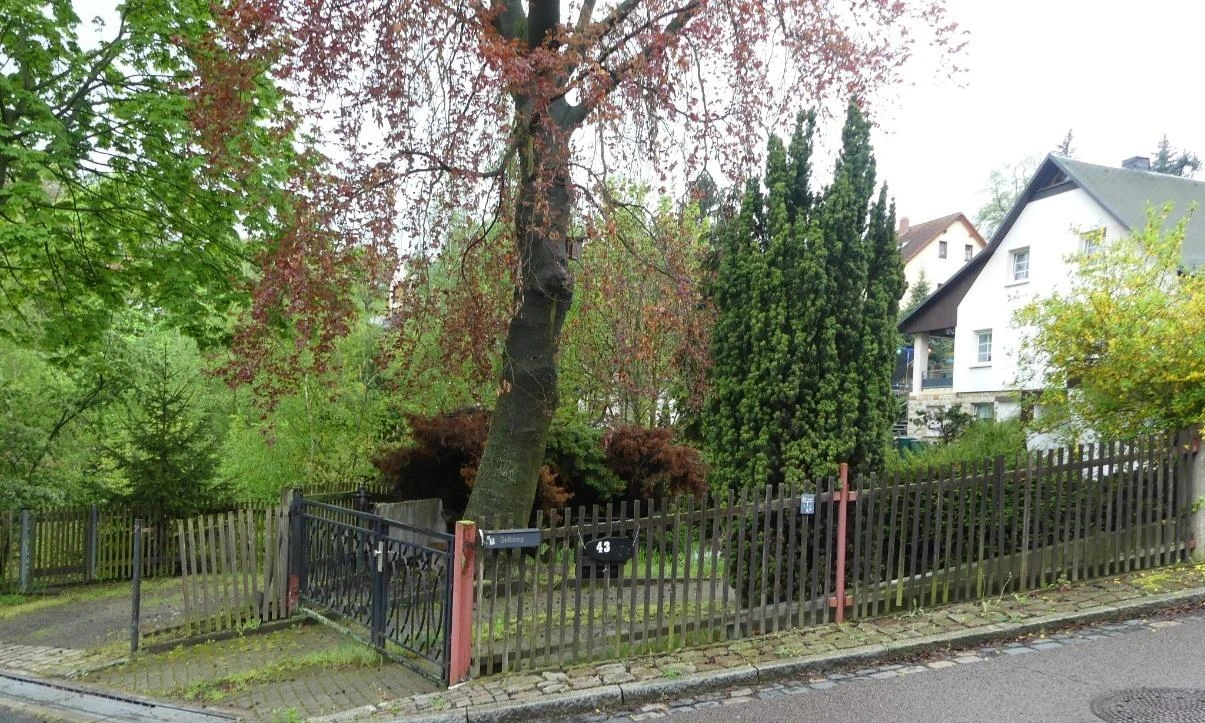 Einfamilienhaus in Dresden — Bild 2