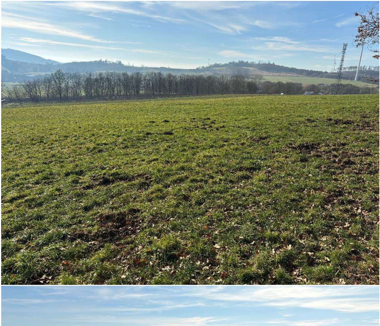 land- und forstwirtschaftlich genutztes Grundstück in Schauenburg — Bild 3