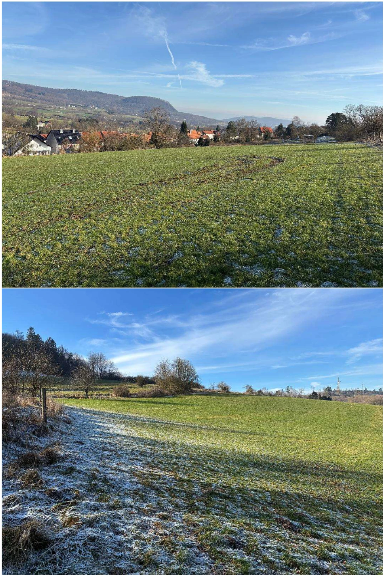 land- und forstwirtschaftlich genutztes Grundstück in Schauenburg — Bild 2