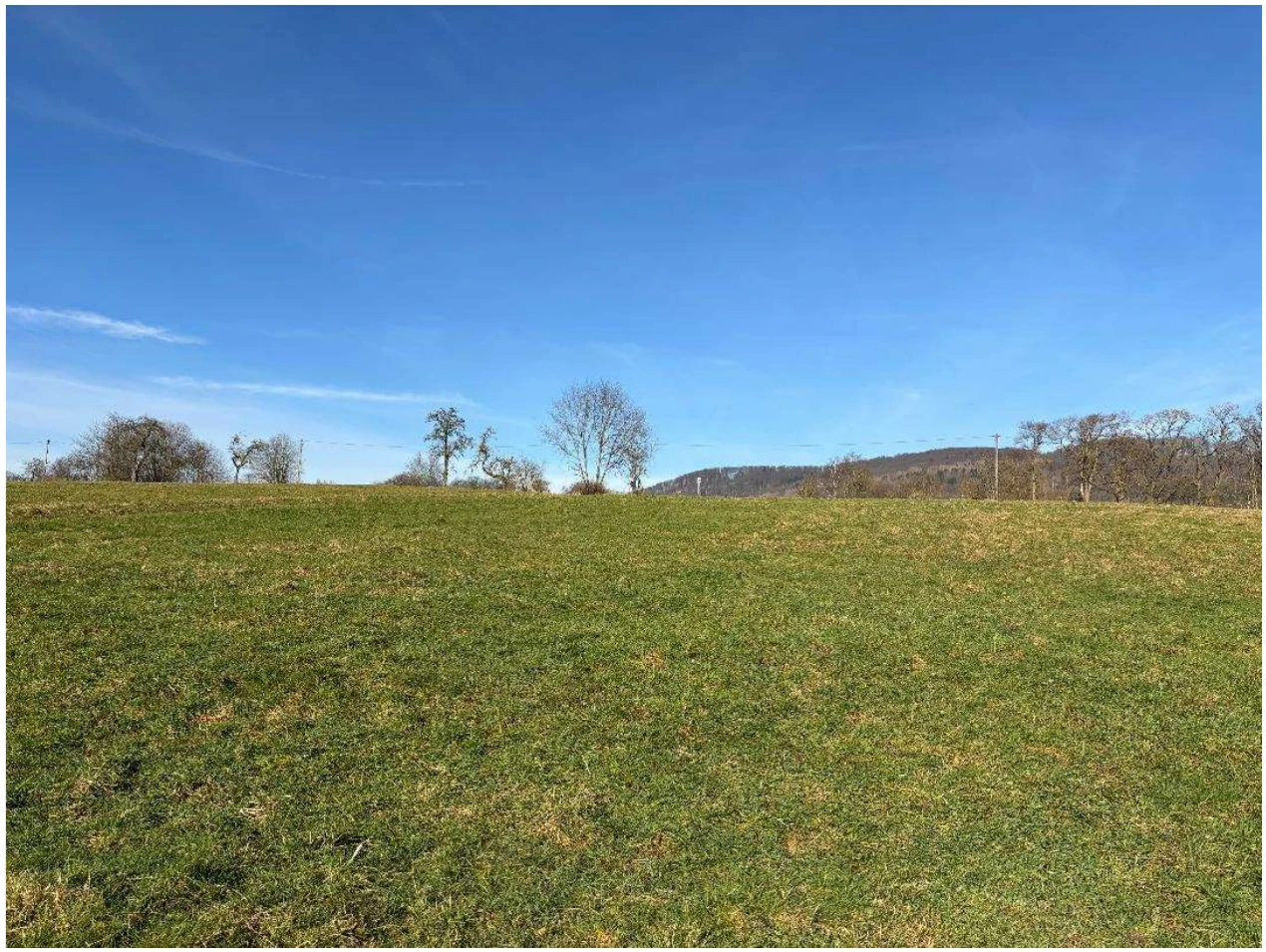 Landwirtschaftsfläche in Schauenburg — Bild 3