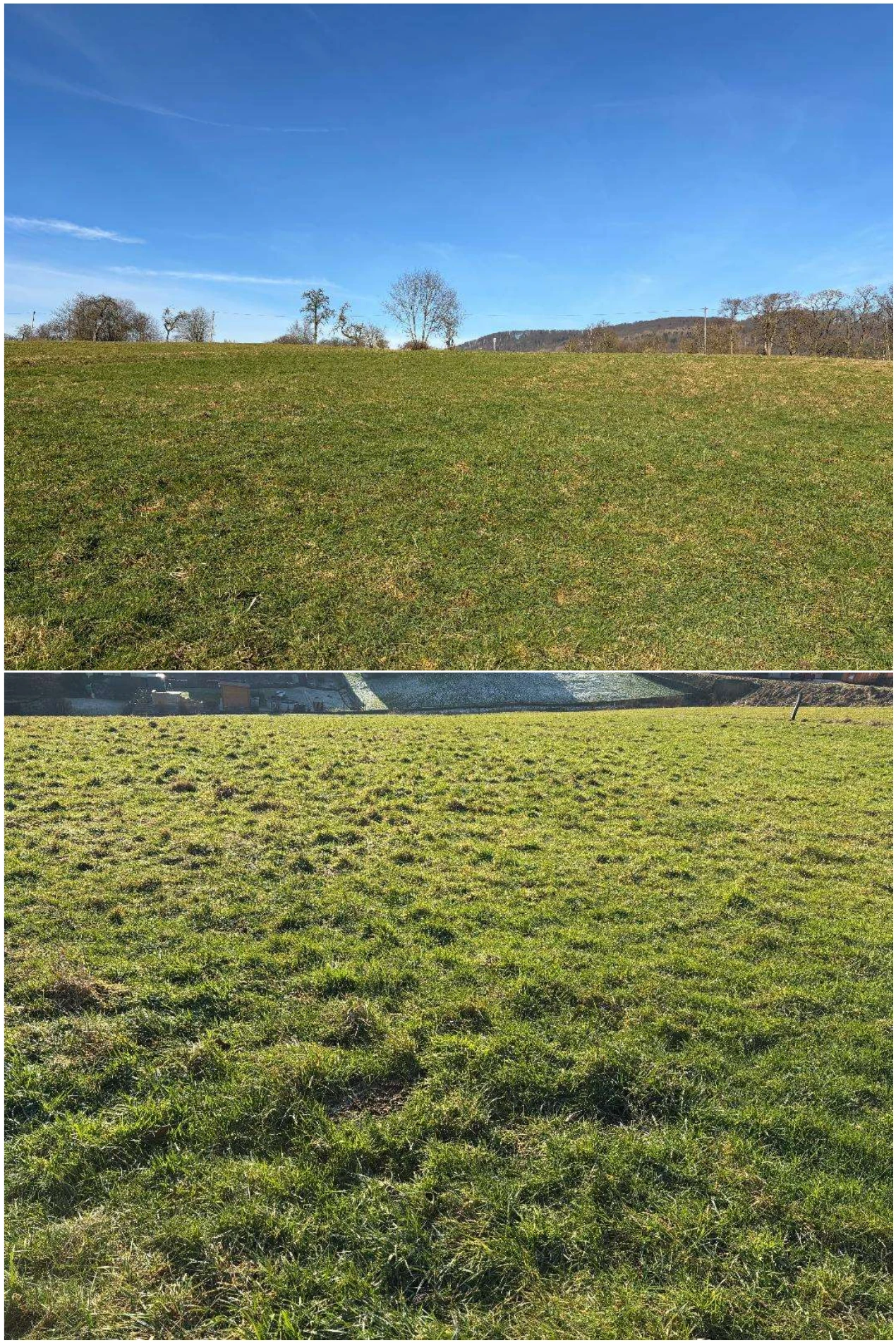 Landwirtschaftsfläche in Schauenburg — Bild 2