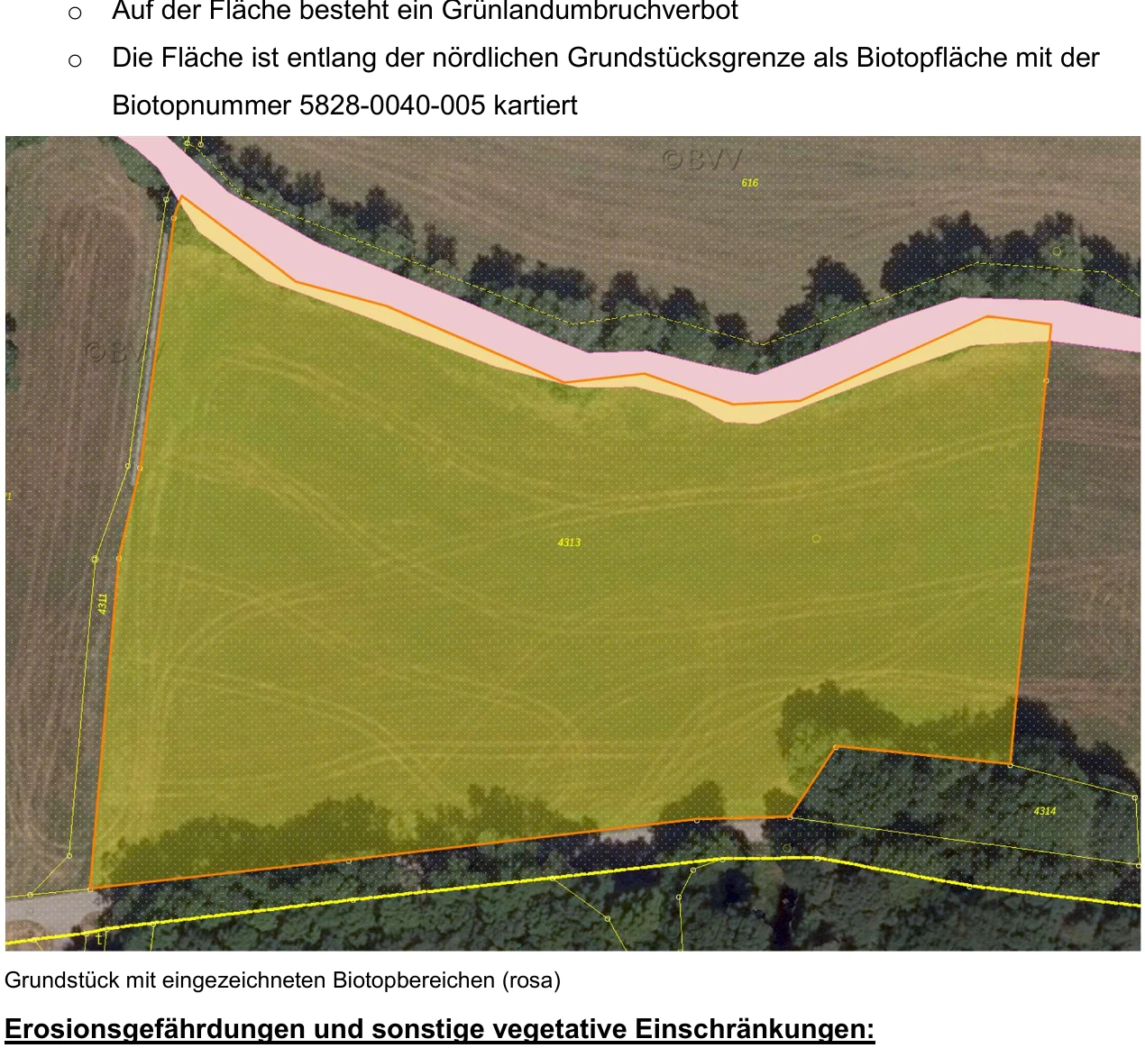 land- und forstwirtschaftlich genutztes Grundstück in Stadtlauringen — Bild 3