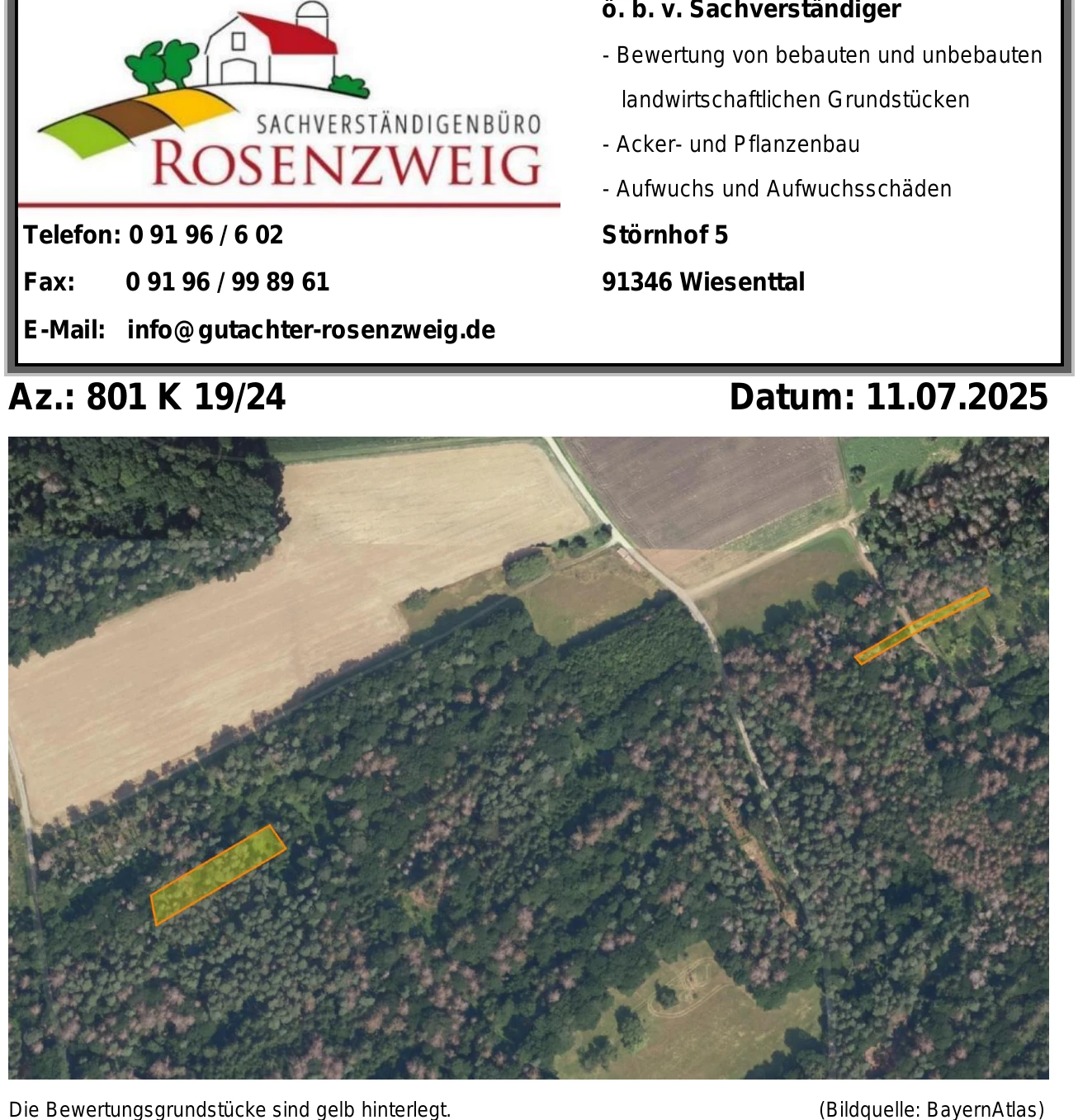 Sonstiges: Waldfläche in Wargolshausen — Bild 2