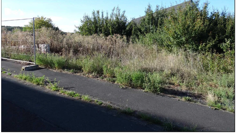 unbebautes Grundstück in Bad Kissingen — Bild 3