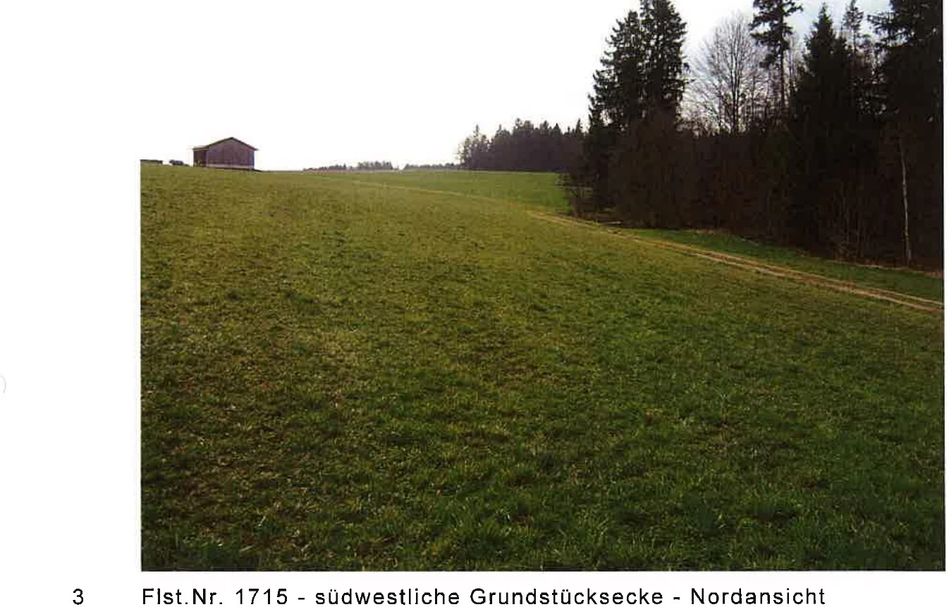 land- und forstwirtschaftlich genutztes Grundstück in Witzmannsberg — Bild 2