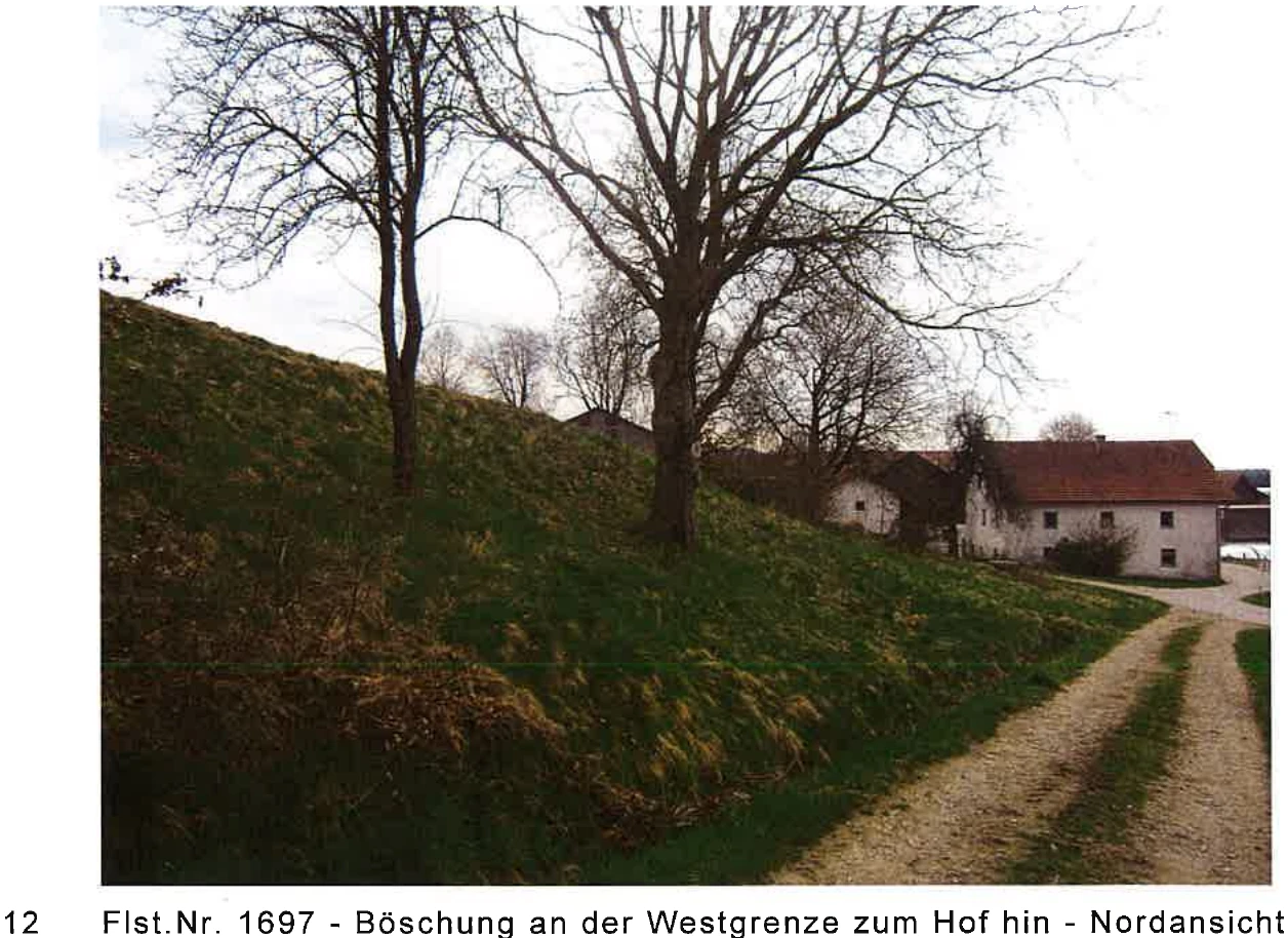 land- und forstwirtschaftlich genutztes Grundstück in Witzmannsberg — Bild 3